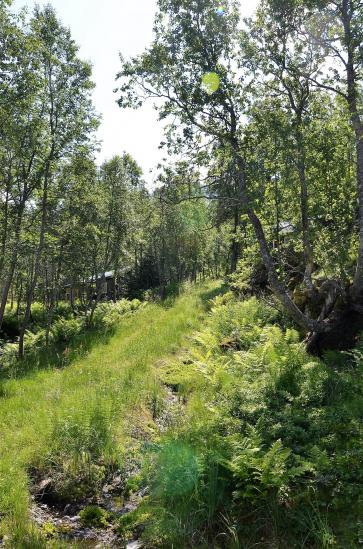 Vatnahalsen Norway