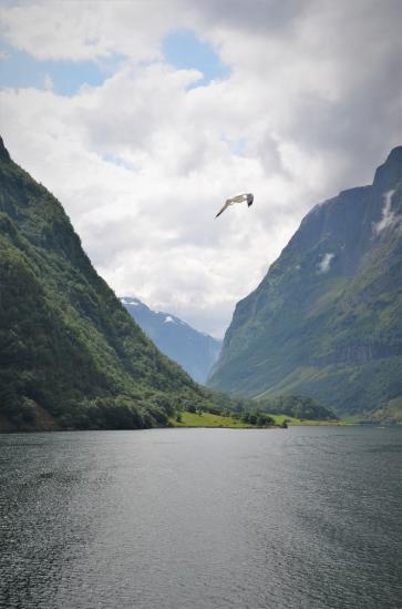 Auslandsfjorden Norway